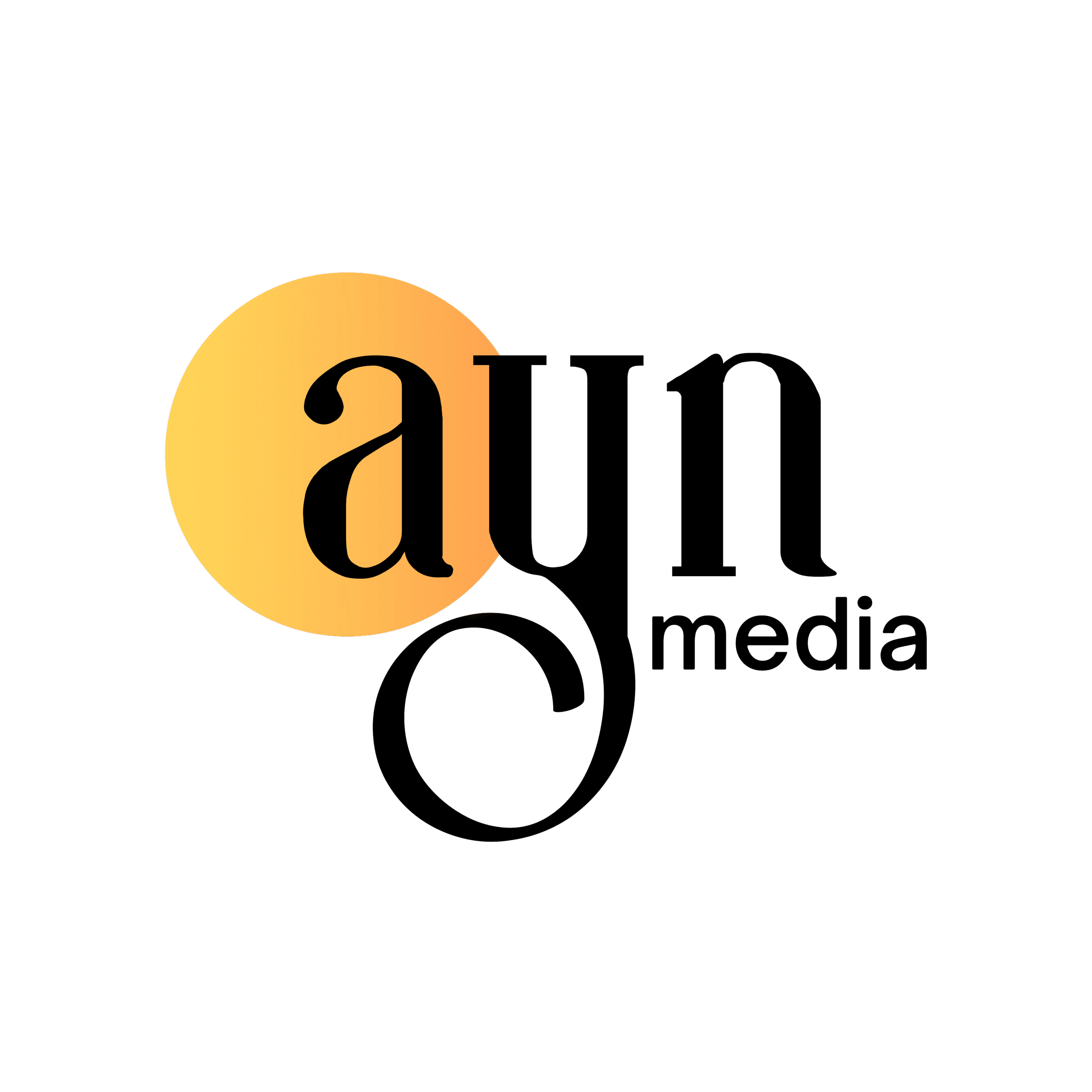 best digital marketing agency in chennai - Ayn Media