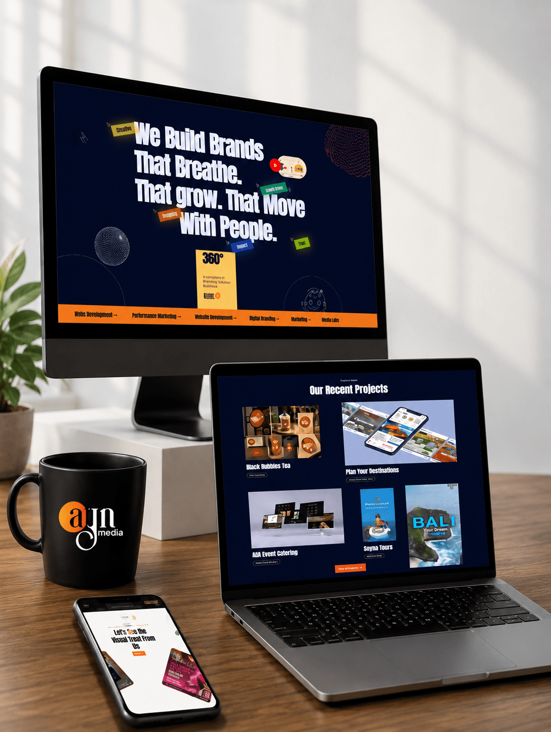 Professional Website Development